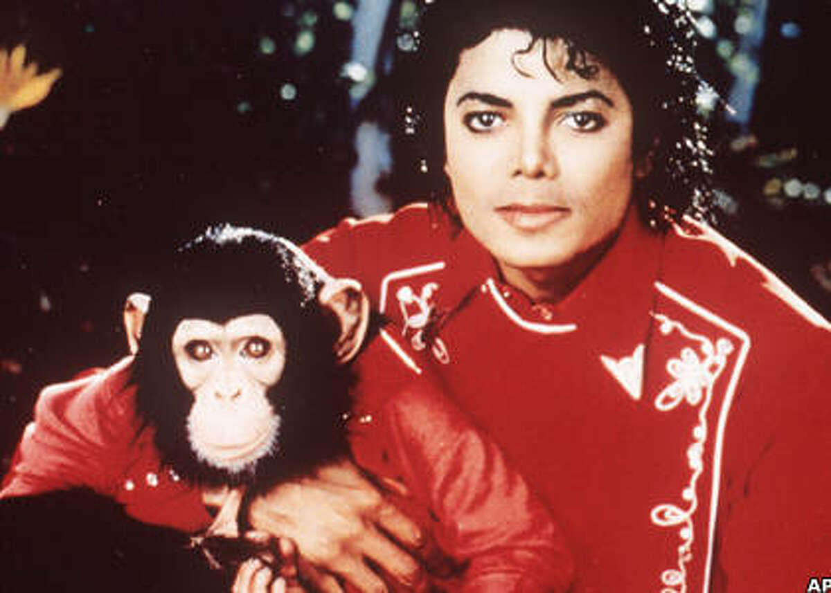 Famous primates to celebrate the Year of the Monkey