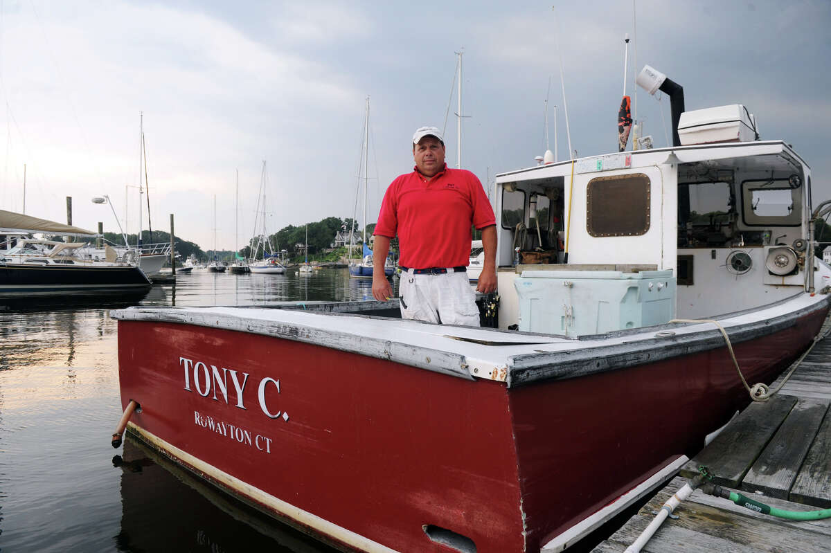 Lobsterman Tony Carlo aboard his boat in Rowayton Harbor in Rowayton, Conn., July 18, 2012. The state is researching the continuing decline of the state's lobster population after yet another devastating year of diminished catches for the dwindling ranks of commercial lobstermen. Carlo blames pesticides used in landscaping and pest control treatments for the declining lobster population.