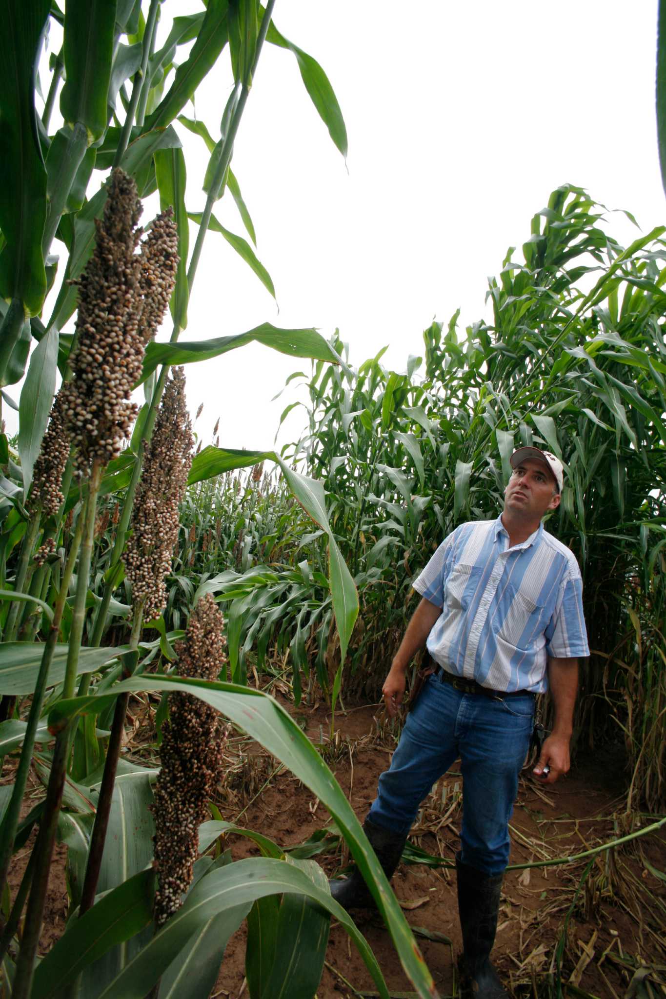 1862 law paved way for landgrant schools