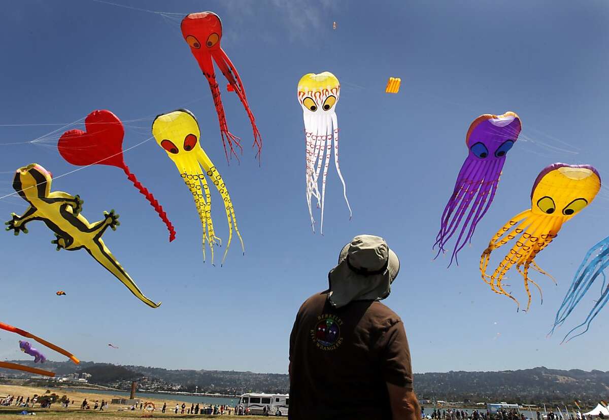 Flying high at Berkeley Kite Festival