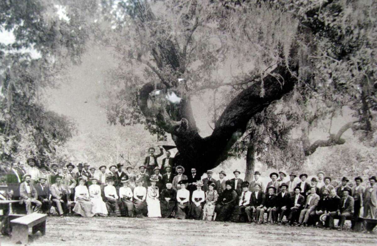 This photo, dated 1901, is believed to show Helena Landa (center) and others gathered beneath what’s now known as Founders’ Oak at the site of what’s now Landa Park.