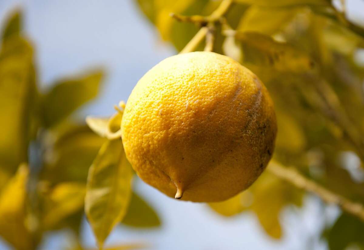 20 everyday foods that might trigger hay fever reactions