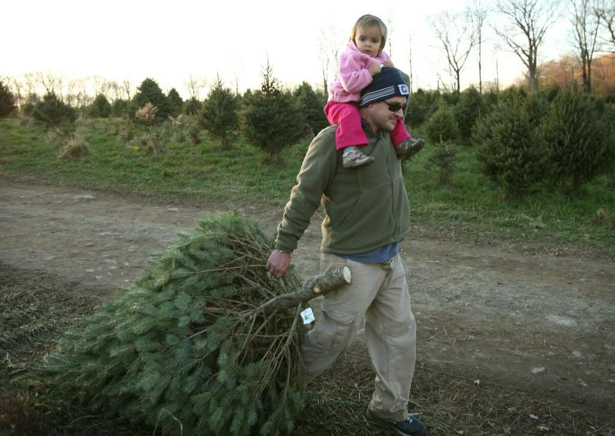 Greg Sanderson of Fairfield drags a Christmas tree in one hand while steadying his daughter Madeline, 20 months, with the other at Maple Row Tree Farm in Easton.
