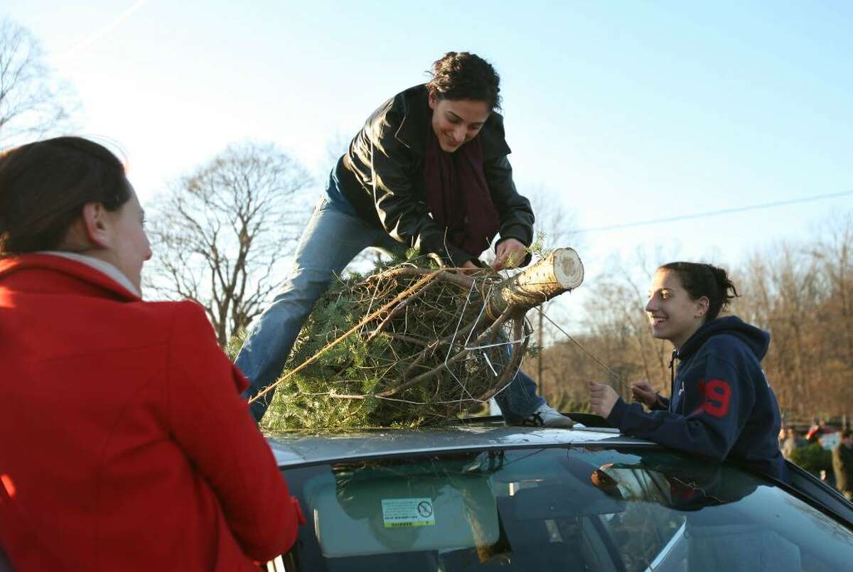 From left; Norwalk sisters Lizzie, Stella, and Yanna Tarasidis tie a Christmas tree to the roof of their car at Maple Row Tree Farm in Easton.