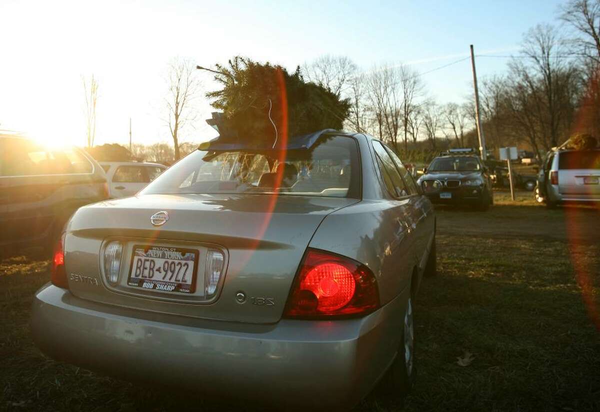 A car with New York State license plates prepares to head for home with a Christmas tree from Maple Row Tree Farm in Easton..