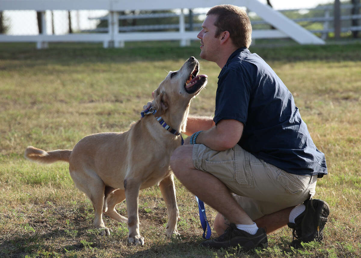 Military bomb-sniffing dog, Diego, an 8-year-old Yellow Labrador Retriever, reunites with Logan Black at Lackland Air Force Base, Tuesday, Aug. 7, 2012. Black, a former Army sergeant, was Diego's handler for two years prior to leaving the army in 2007. In 2006, they were deployed to Iraq where they were shaken up by an IED blast. Black was able to adopt the lab through the military adoption program.
