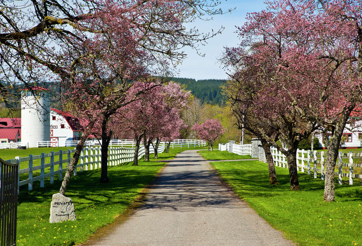 Huge farm estate for sale in North Bend