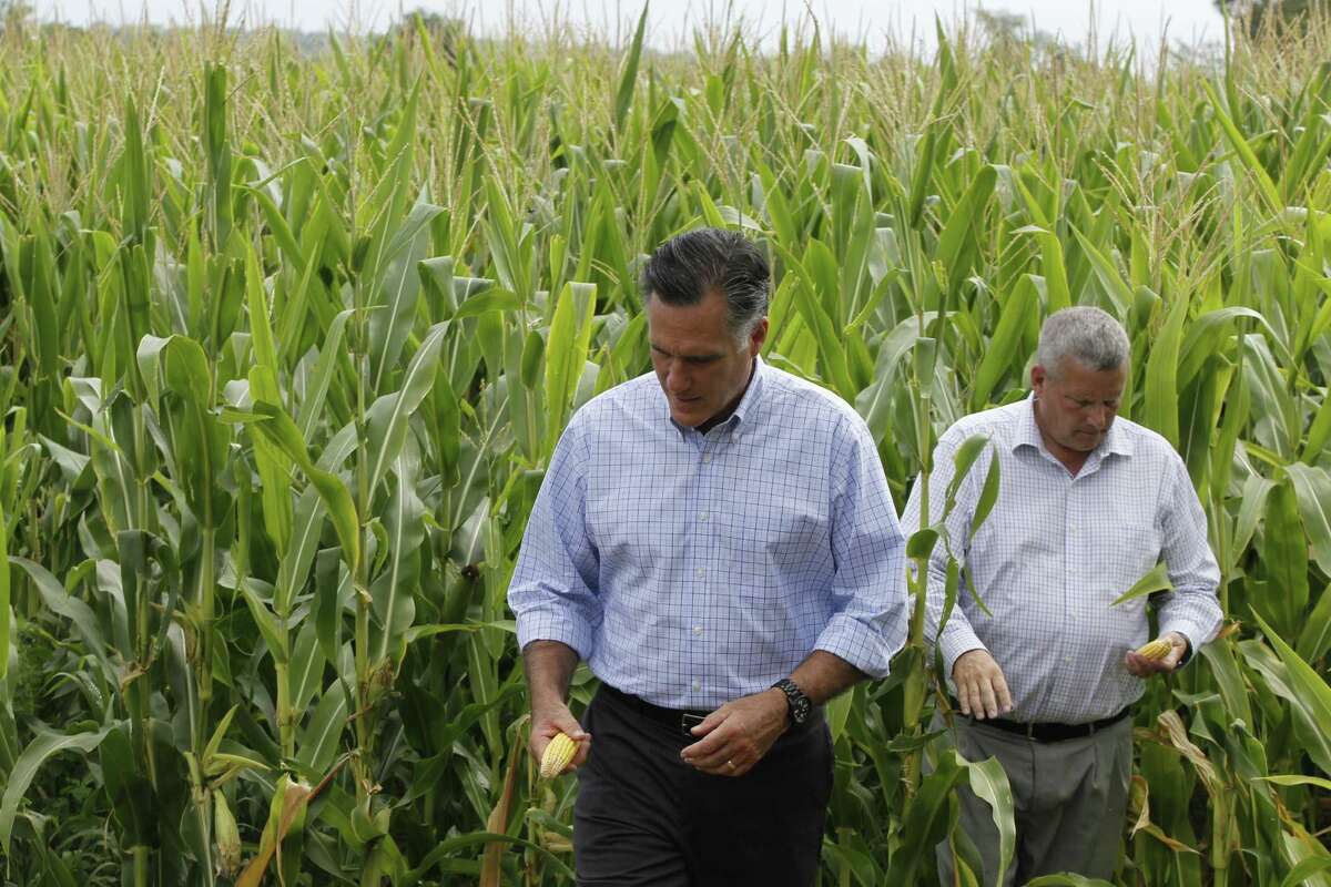 Republican presidential candidate Mitt Romney visits an Iowa cornfield on Wednesday as part of an effort to secure the state's six electoral votes.