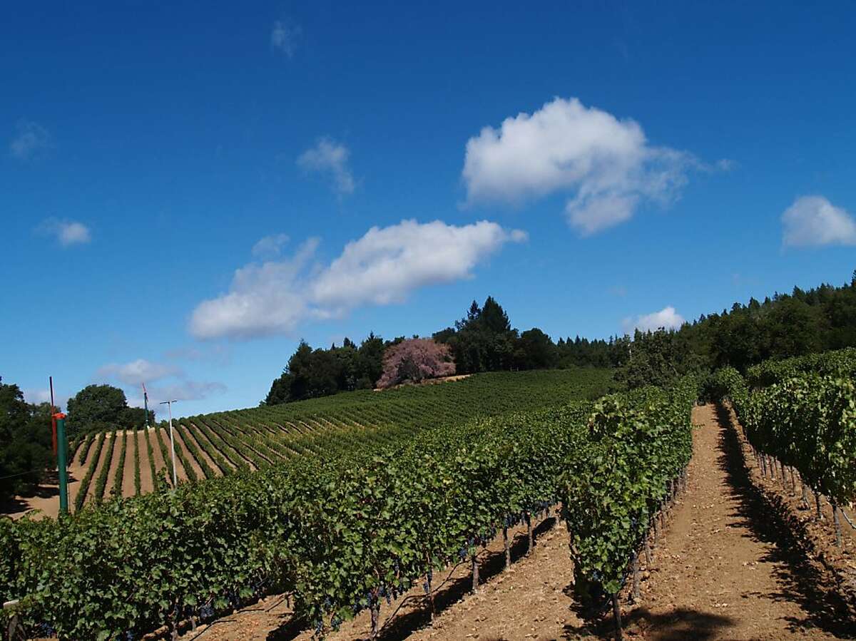 160-acre treasure at Silver Cloud Ranch