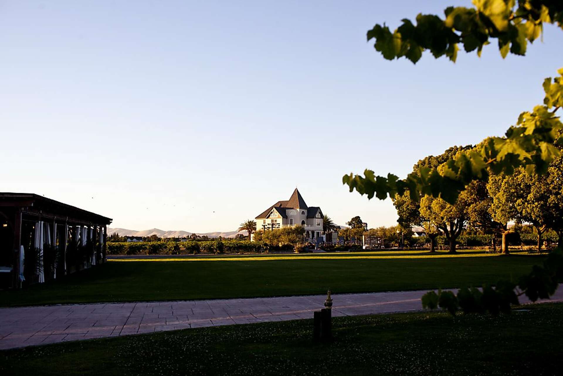 Concannon Vineyard's roots run deep