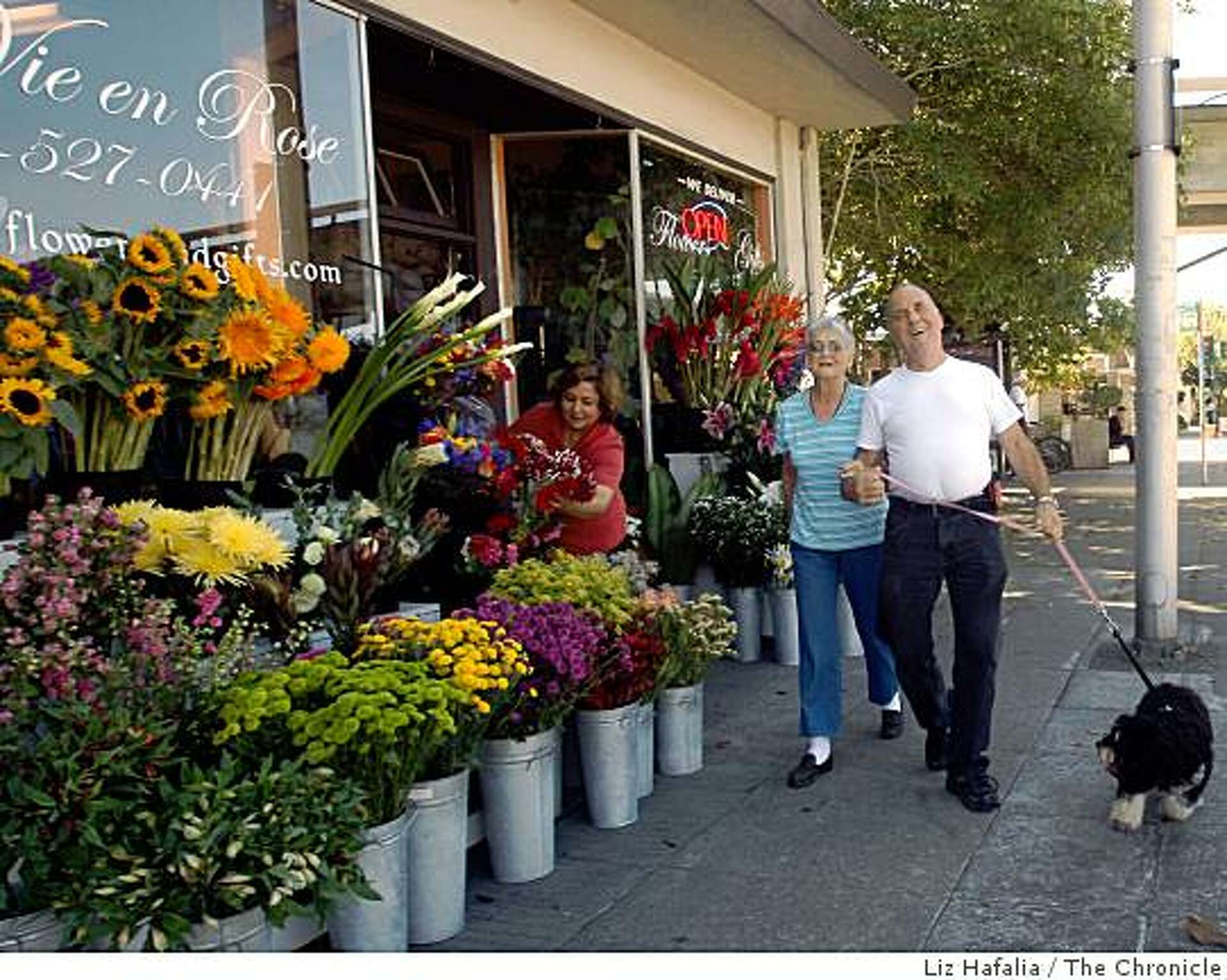 Solano Avenue, Albany