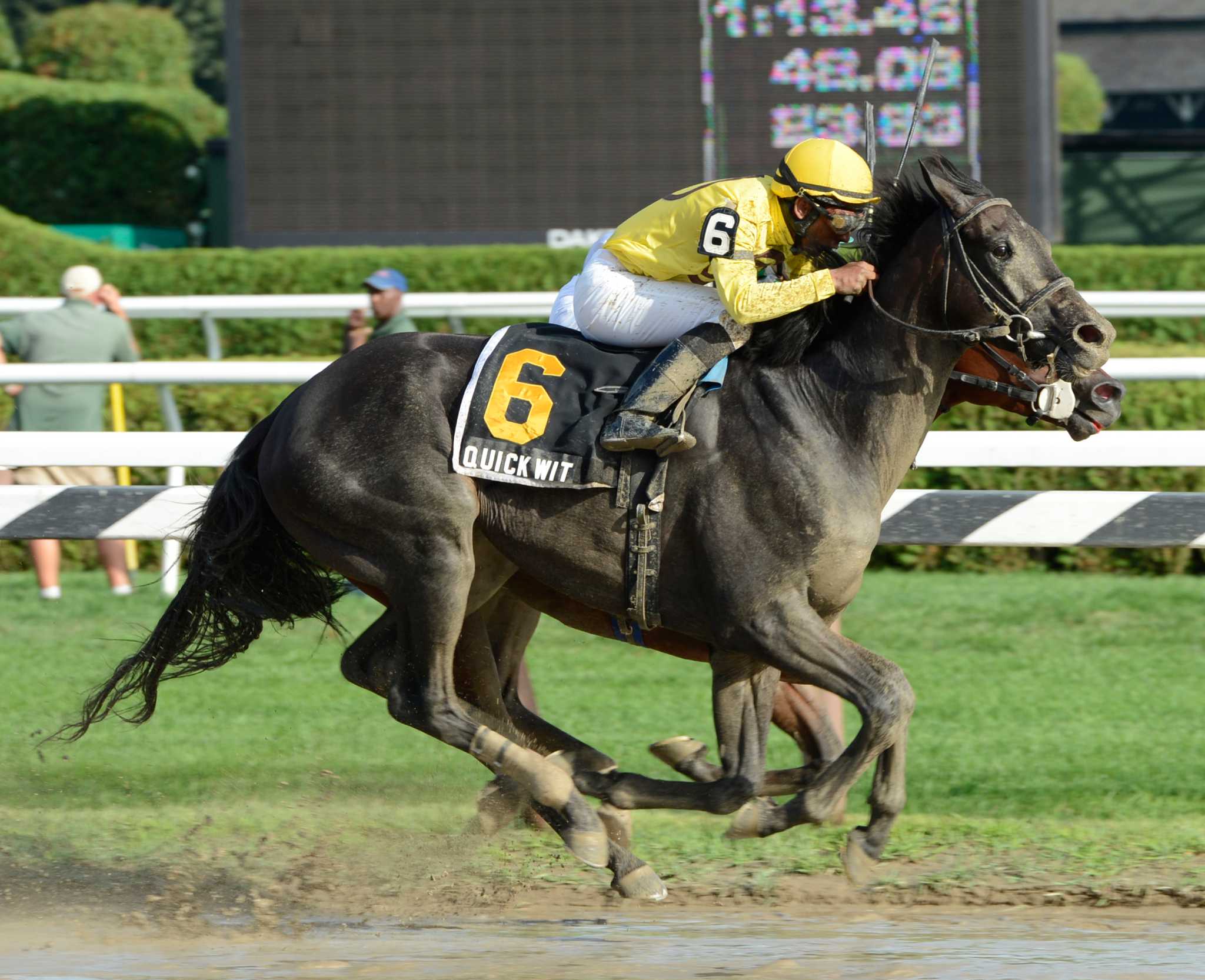 Quick Wit wins Hall of Fame