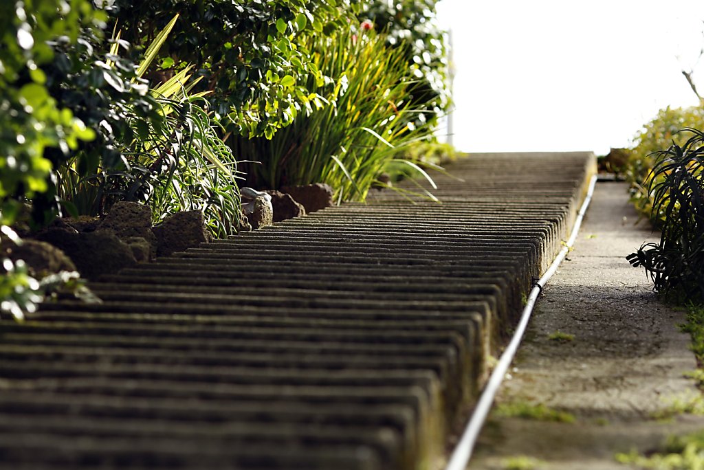 Baker Street steps steep and quiet