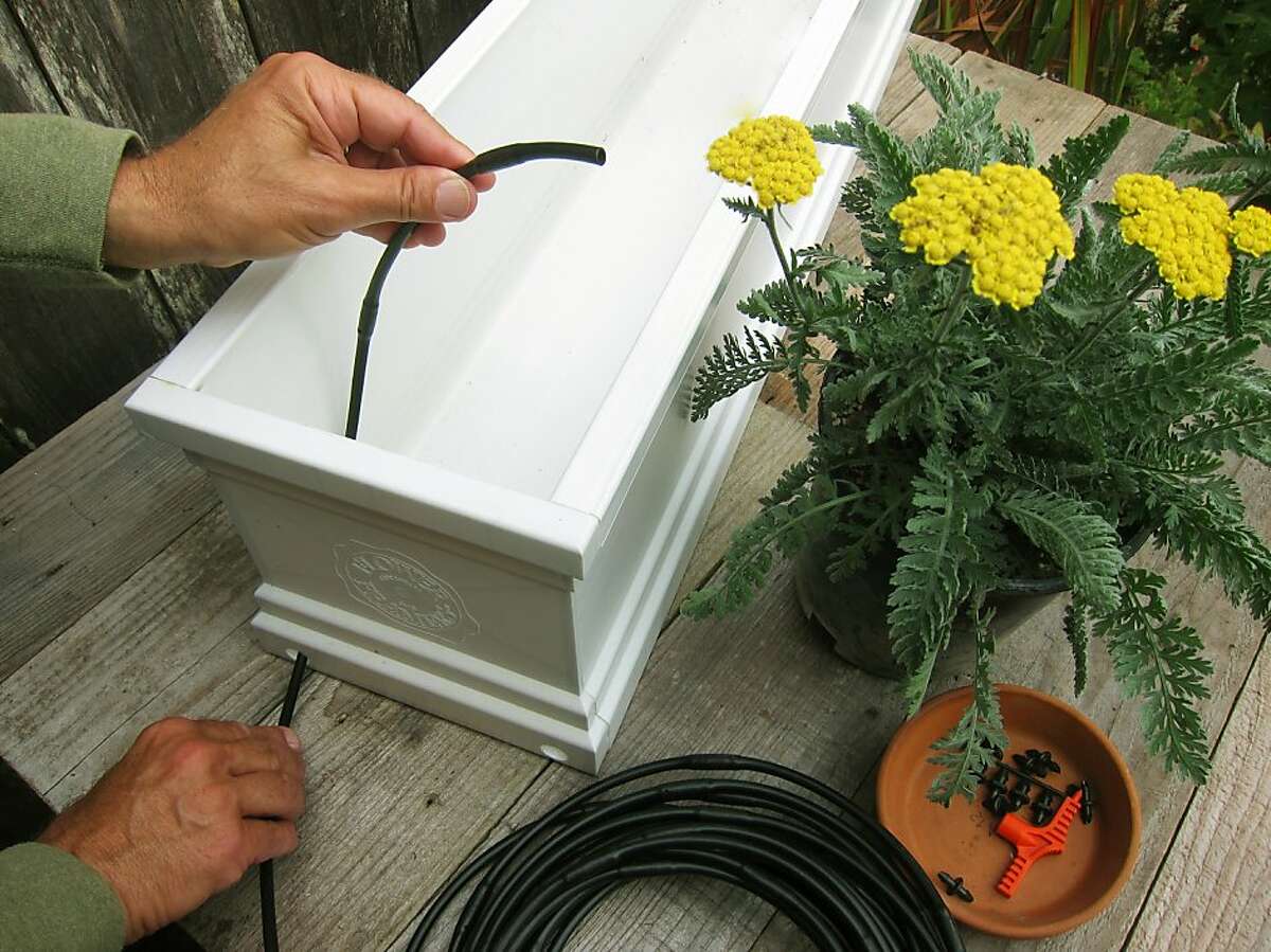 Window Boxes Require Water Care