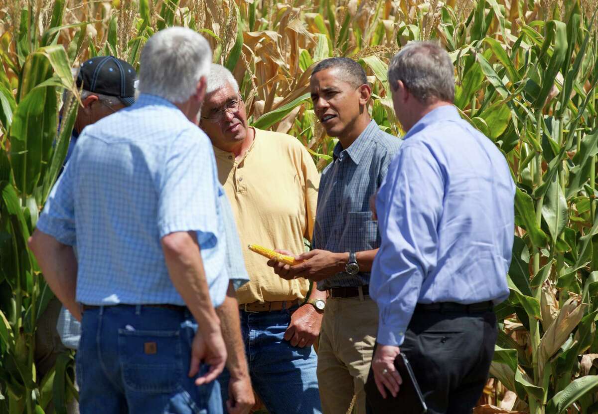 President Barack Obama and Agriculture Secretary Tom Vilsack, right, inspect drought damaged corn on the McIntosh farm with members of the McIntosh family, Monday, Aug. 13, 2012, in Missouri Valley, Iowa, during a three day campaign bus tour through Iowa. (AP Photo/Carolyn Kaster)