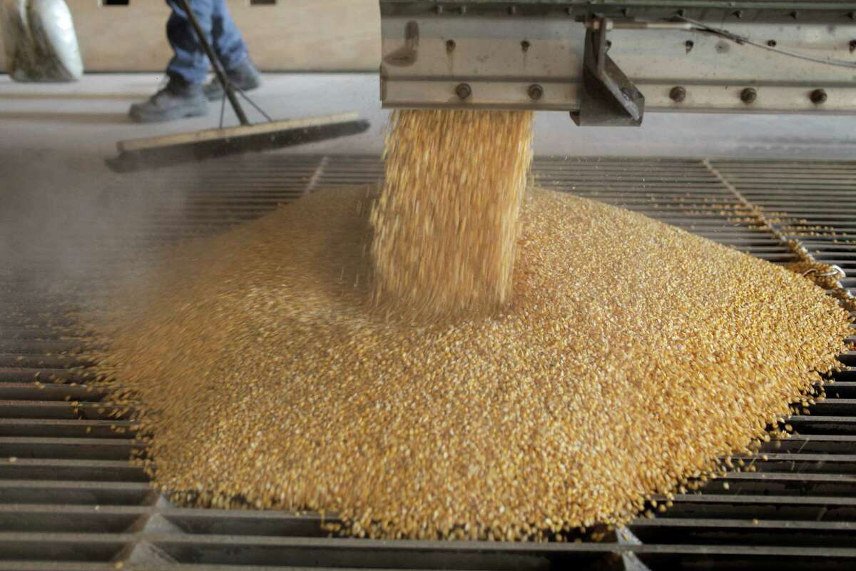 Corn is dropped out of a truck at the East Kansas Agri-Energy ethanol plant in Garnett, Kan. The economic case for ethanol is weak.