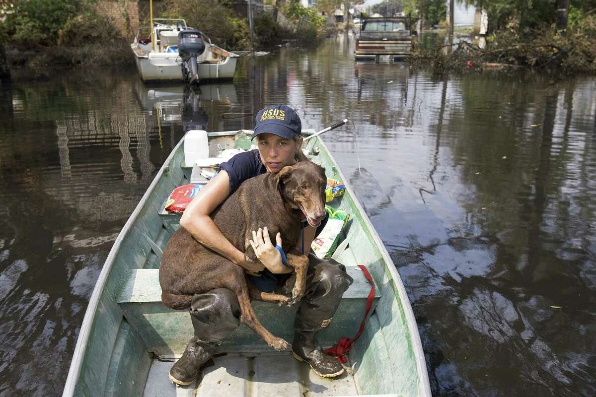 Animal Rescue After Hurricane Katrina, Compiled 2015