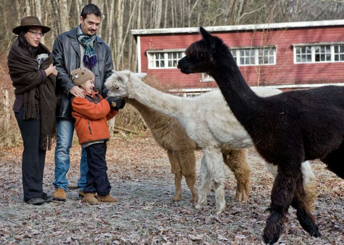 Family runs alpaca farm and bed-and-breakfast in New Milford