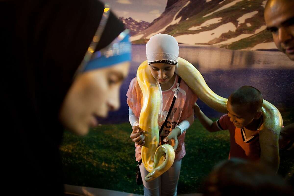 Israeli Arabs get their picture taken with a pet snake at an amusement park as Muslims celebrated the Eid al-Fitr holiday, which marks the end of the holy fasting month of Ramadan on August 20, 2012 at the old city of Acre, Israel. (Photo by Uriel Sinai/Getty Images)