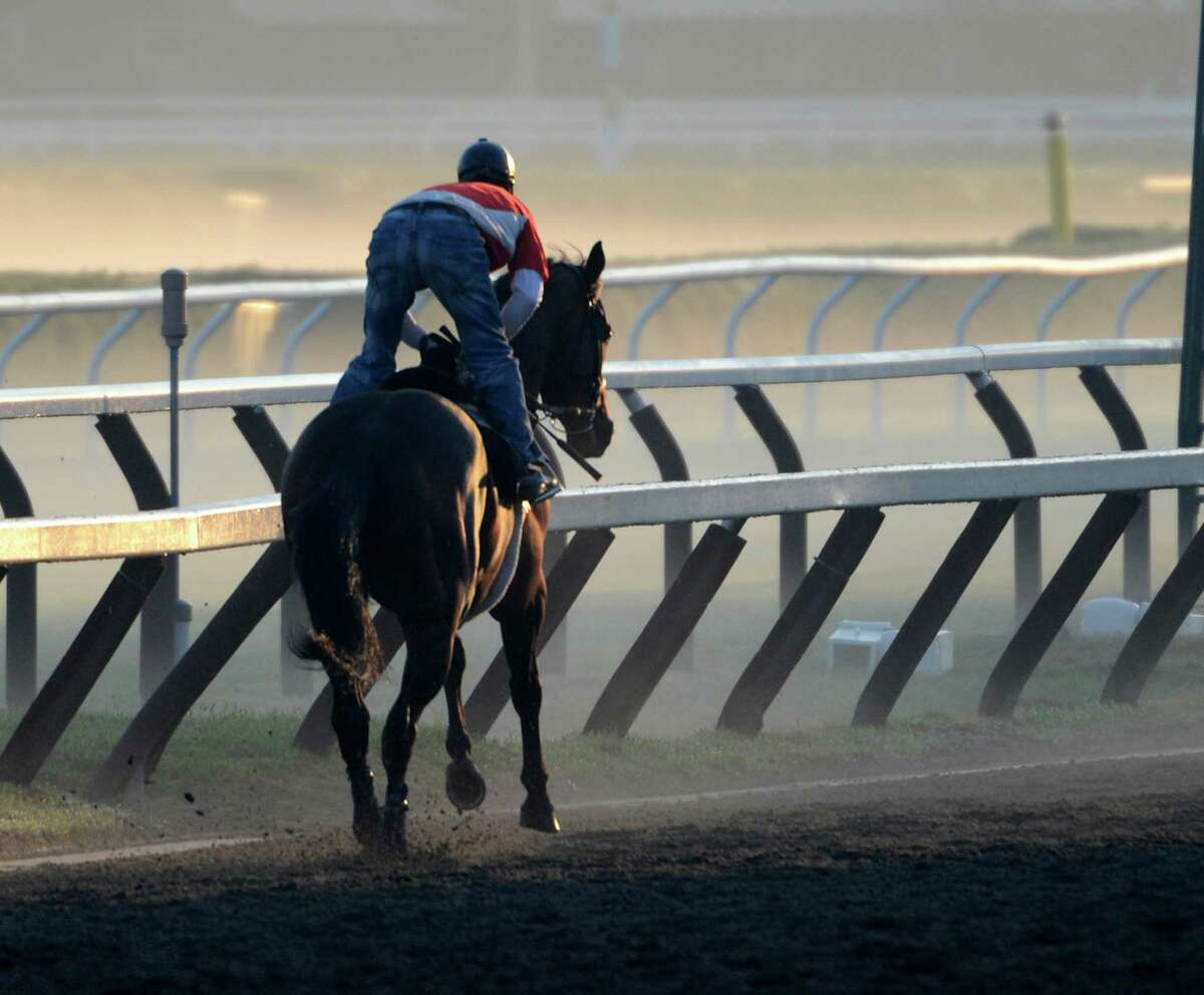 Photos Horses prepare for Travers