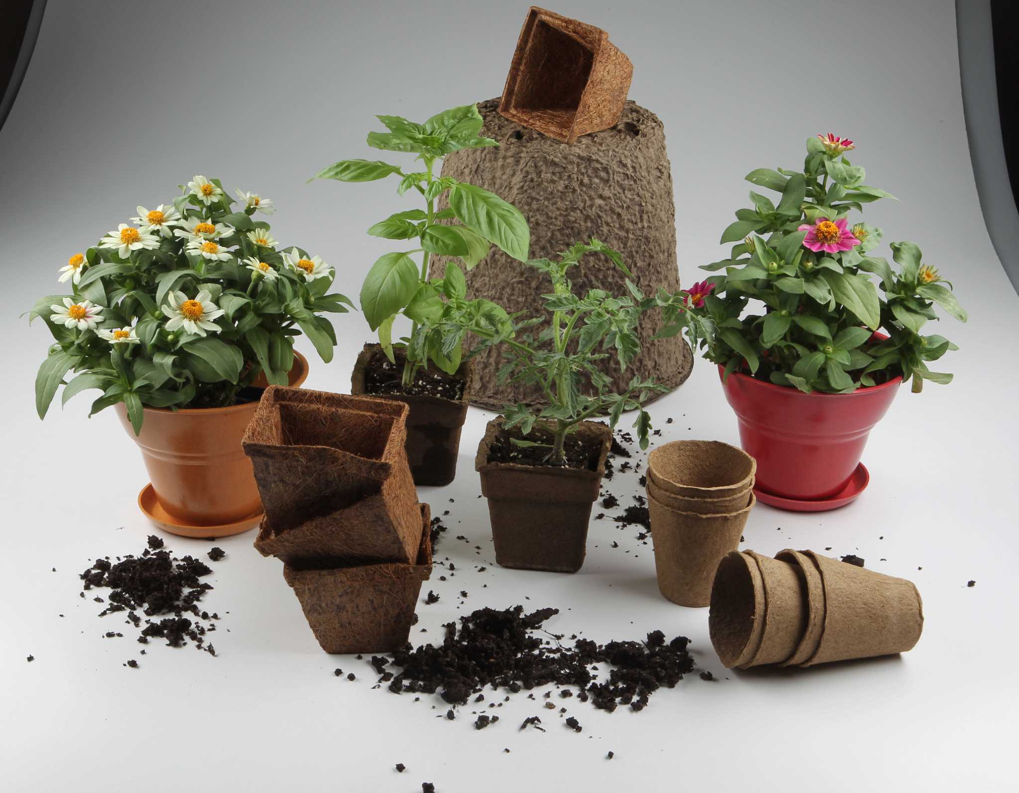 10 of the Best Eco-Friendly Plant Pots