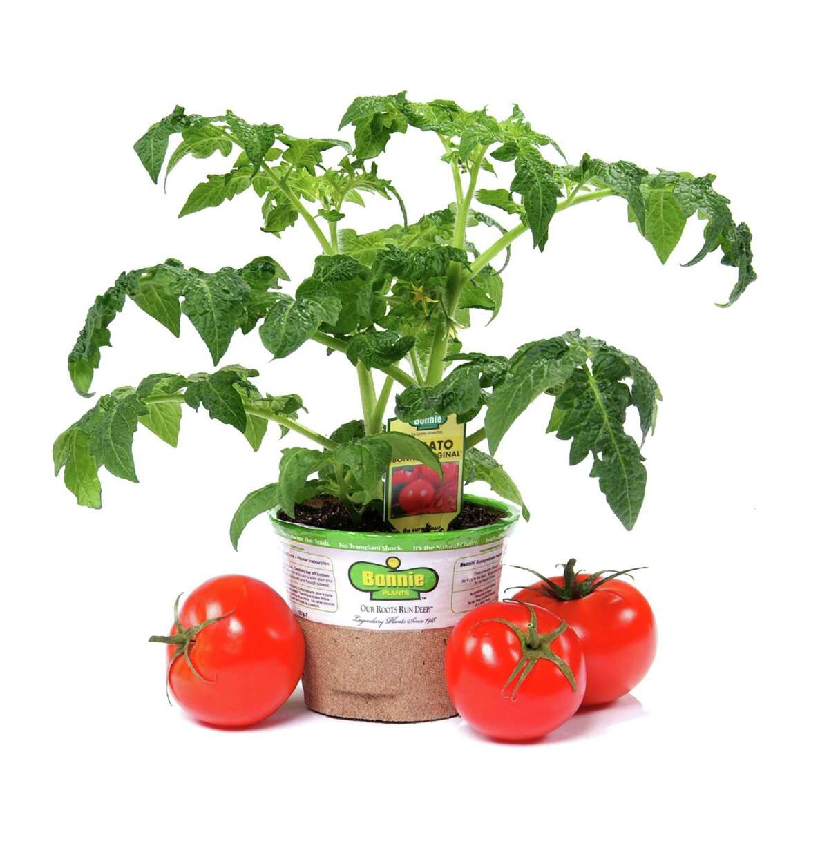 Bonnie Plants trucks vegetables and herbs in biodegradable pots to retail garden centers.