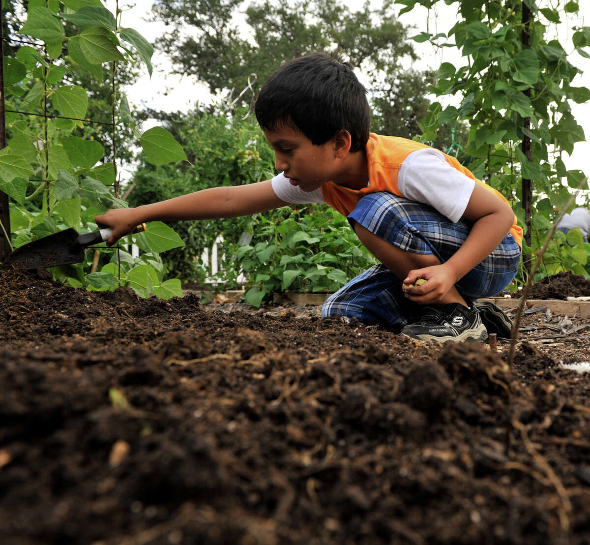 Make a backyard vegetable garden a family project.