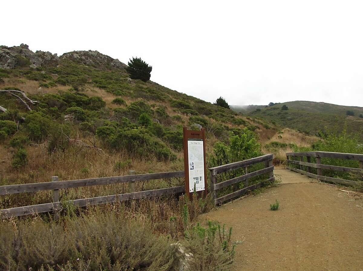Shoreline Highway/Highway 1, Muir Beach