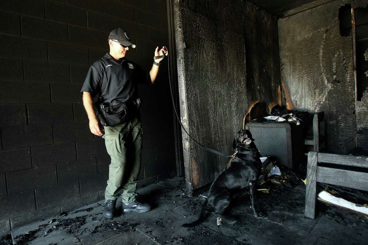 Arson investigator Justin Davis' partner, Kai, is one of 33 dogs that support local law enforcement and fire fighters and play a large part in providing safety for San Antonio residents