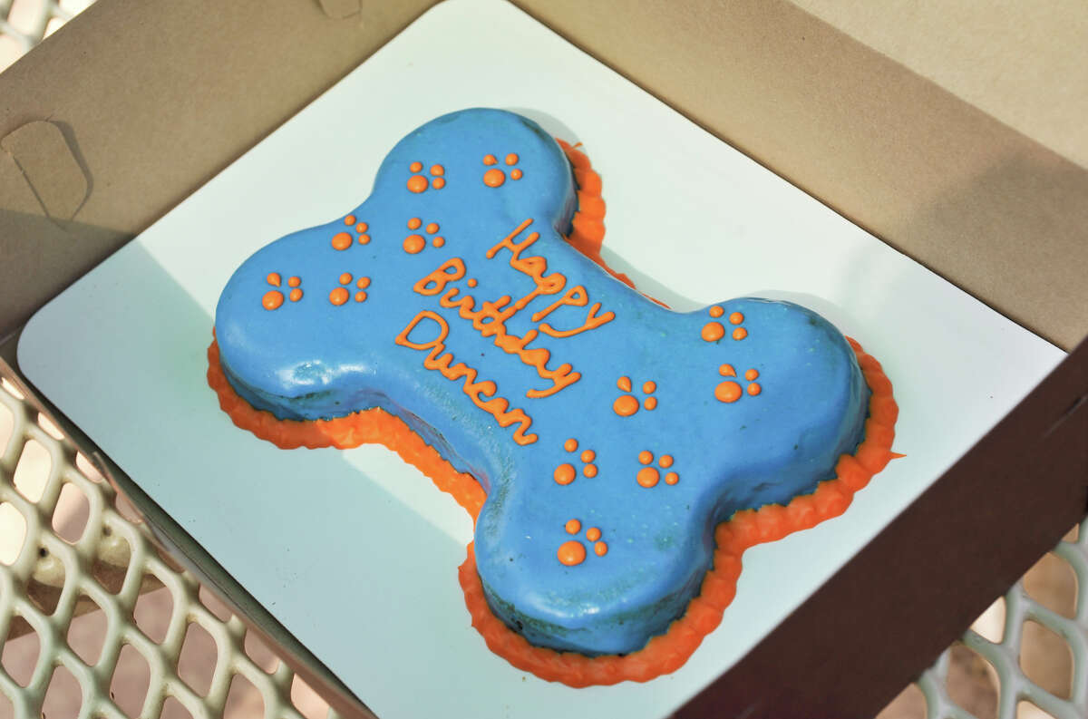 woof gang bakery birthday cake