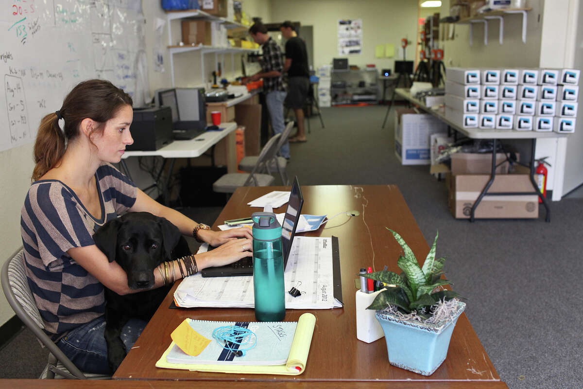 SOLOSHOT Communications director Caitlin Stagg works with her dog, Bella Noche, at SOLOSHOT's office in San Antonio on Thursday, August 23, 2012.