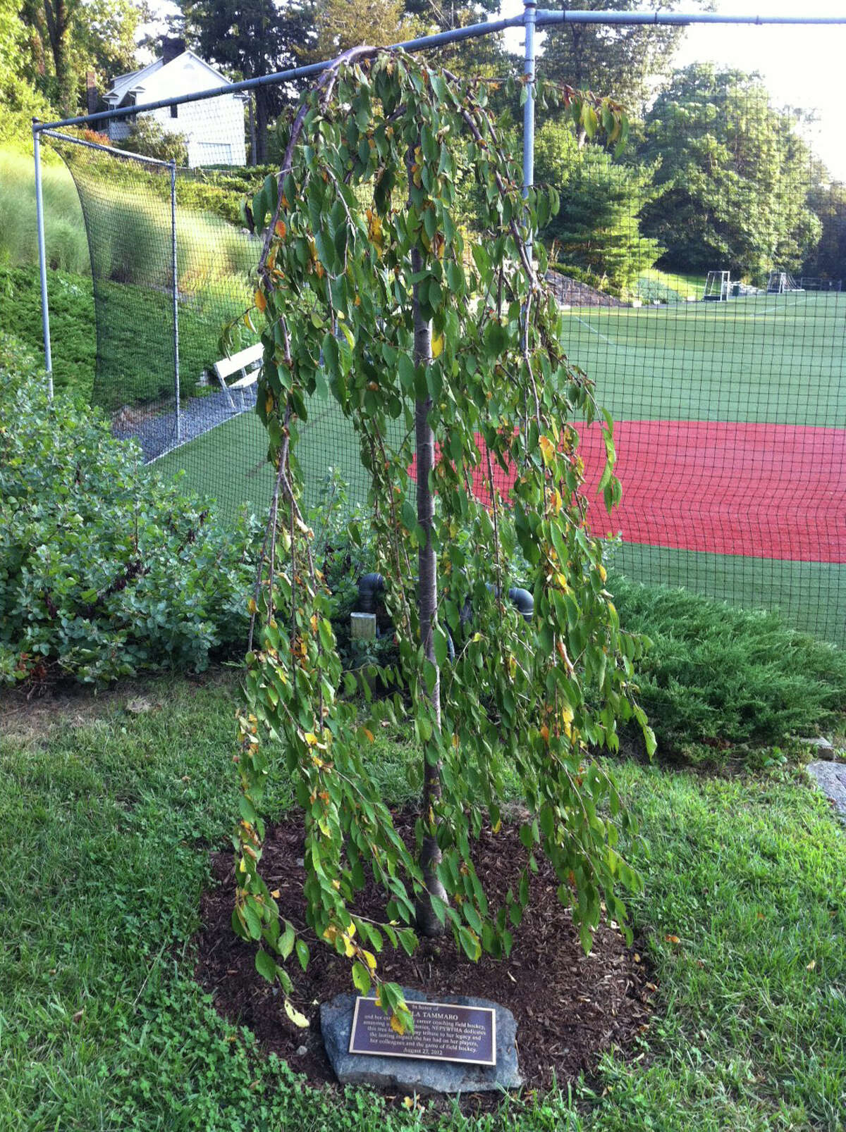 After nearly 50 years, Tammaro passes on athletic director duties at