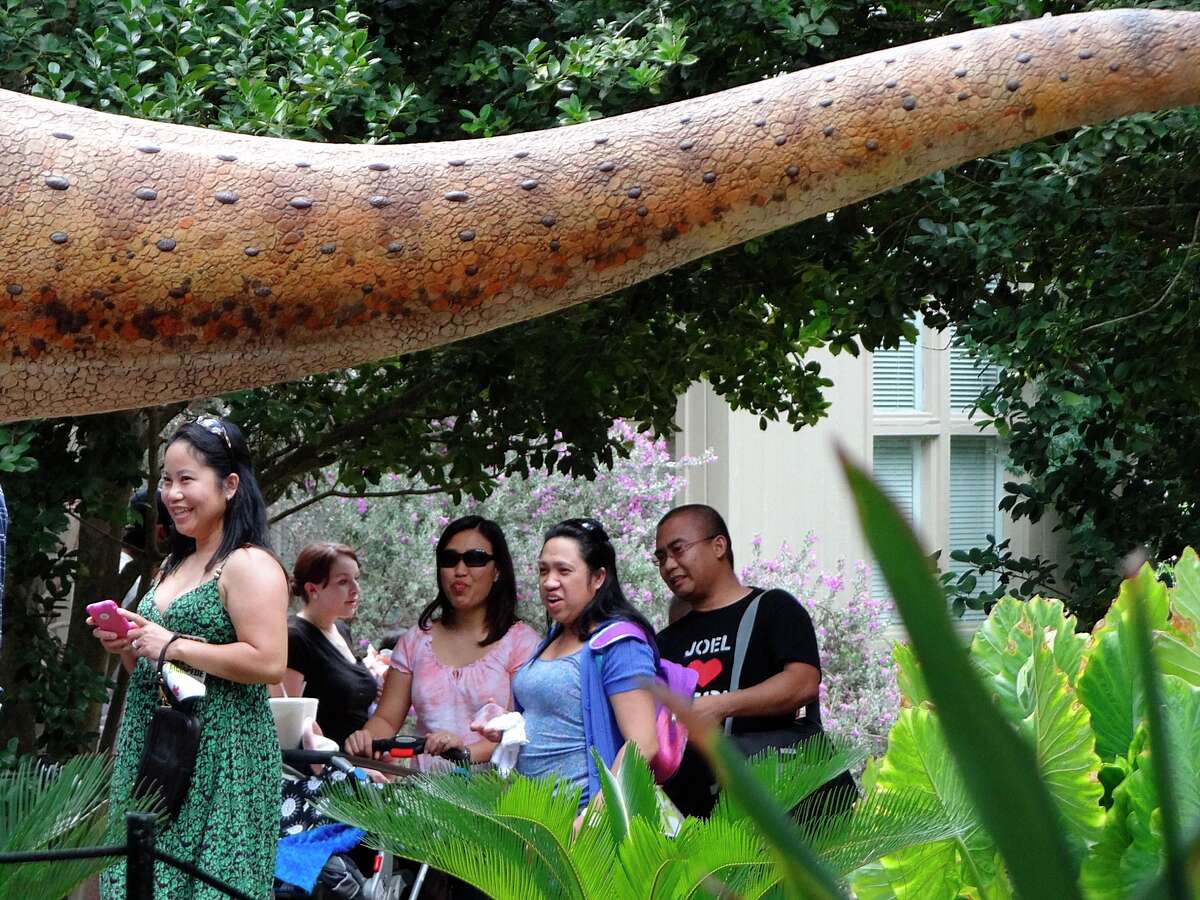 People walk by the tail of an allosaurus replica during opening day of the Dinosaur Stampede at the San Antonio Botanical Garden on Saturday, Sept. 1, 2012. Over 30 dinosaurs and other creatures are on display until the end of the year.