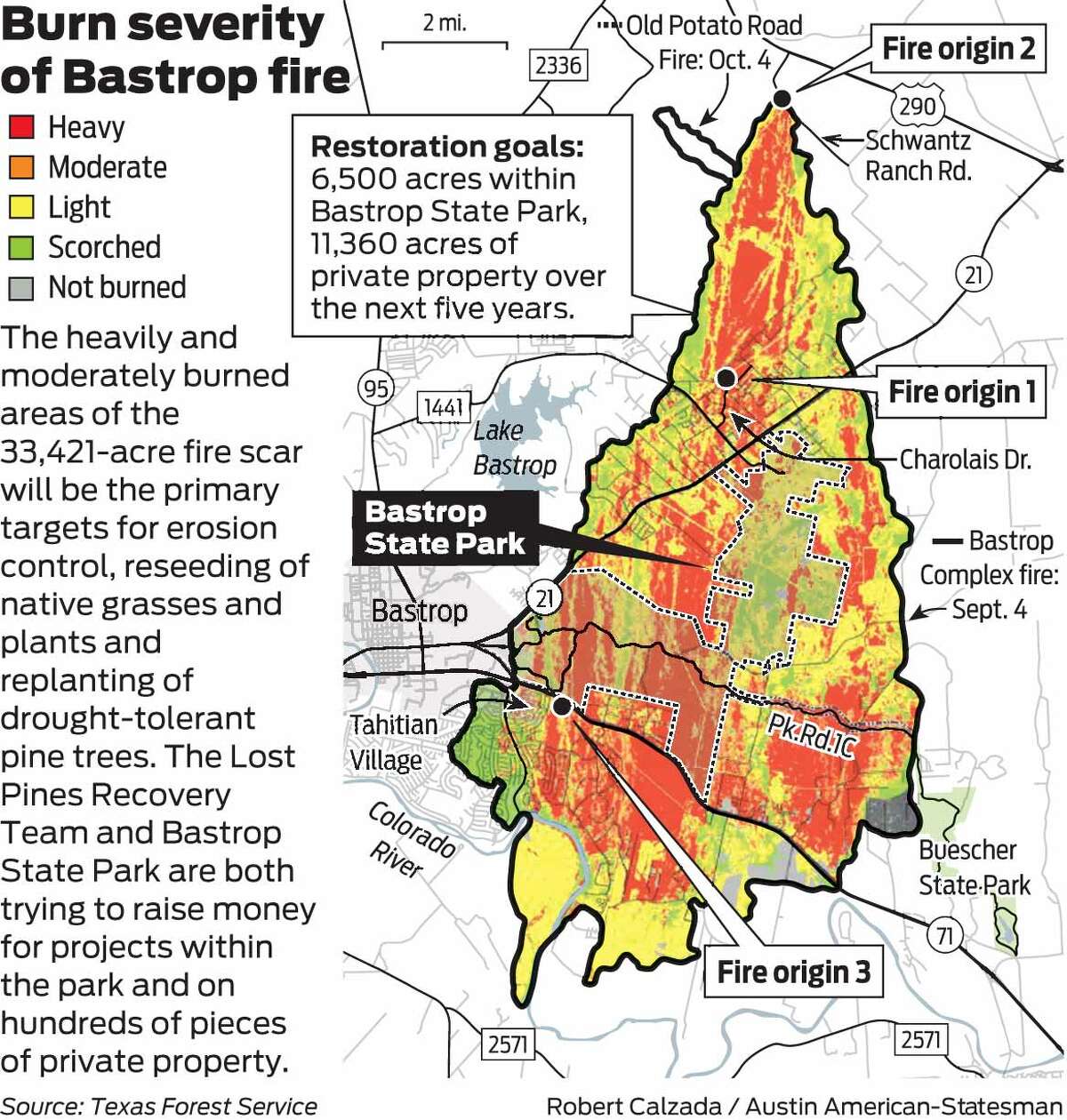 Bastrop forest struggling after wildfires is getting some help