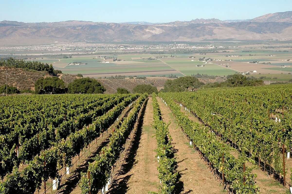 September and October are harvest season, and many wineries that are usually closed to the public including those in the remote Cachagua Valley open their doors for one-time events.