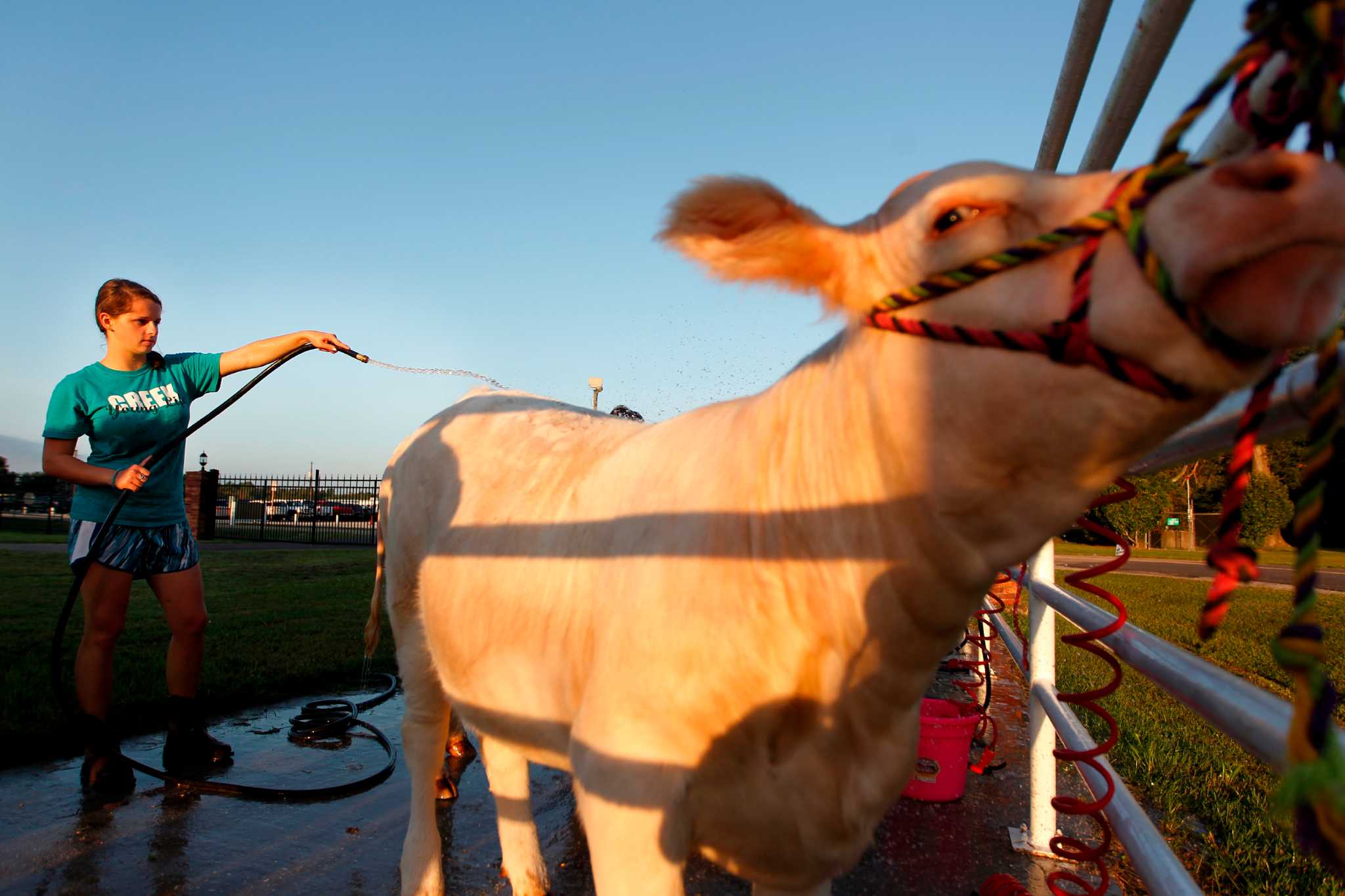 35th Annual Harris County Fair