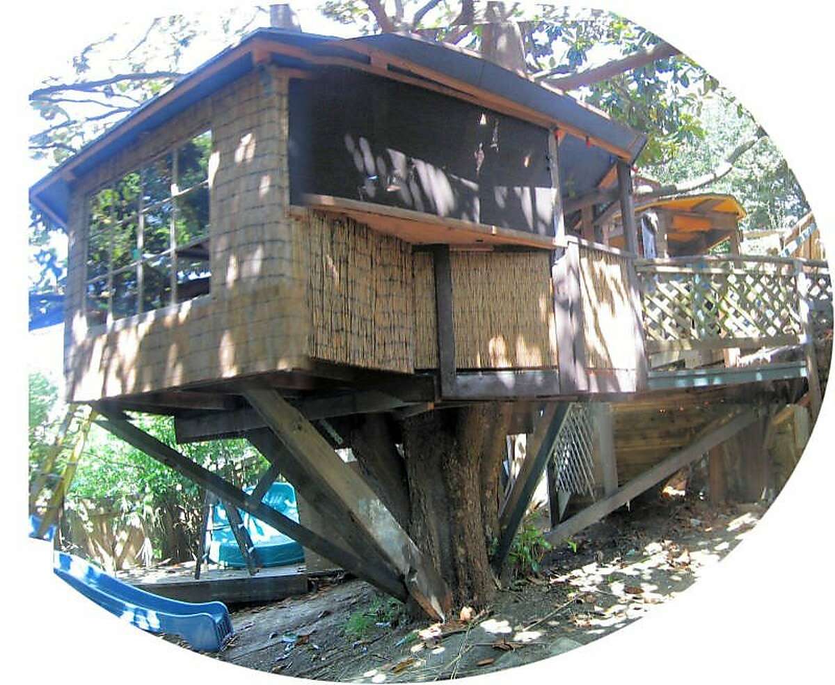 John Henry Lionheart's original treehouse, built in an 80-year-old magnolia tree in North Berkeley.