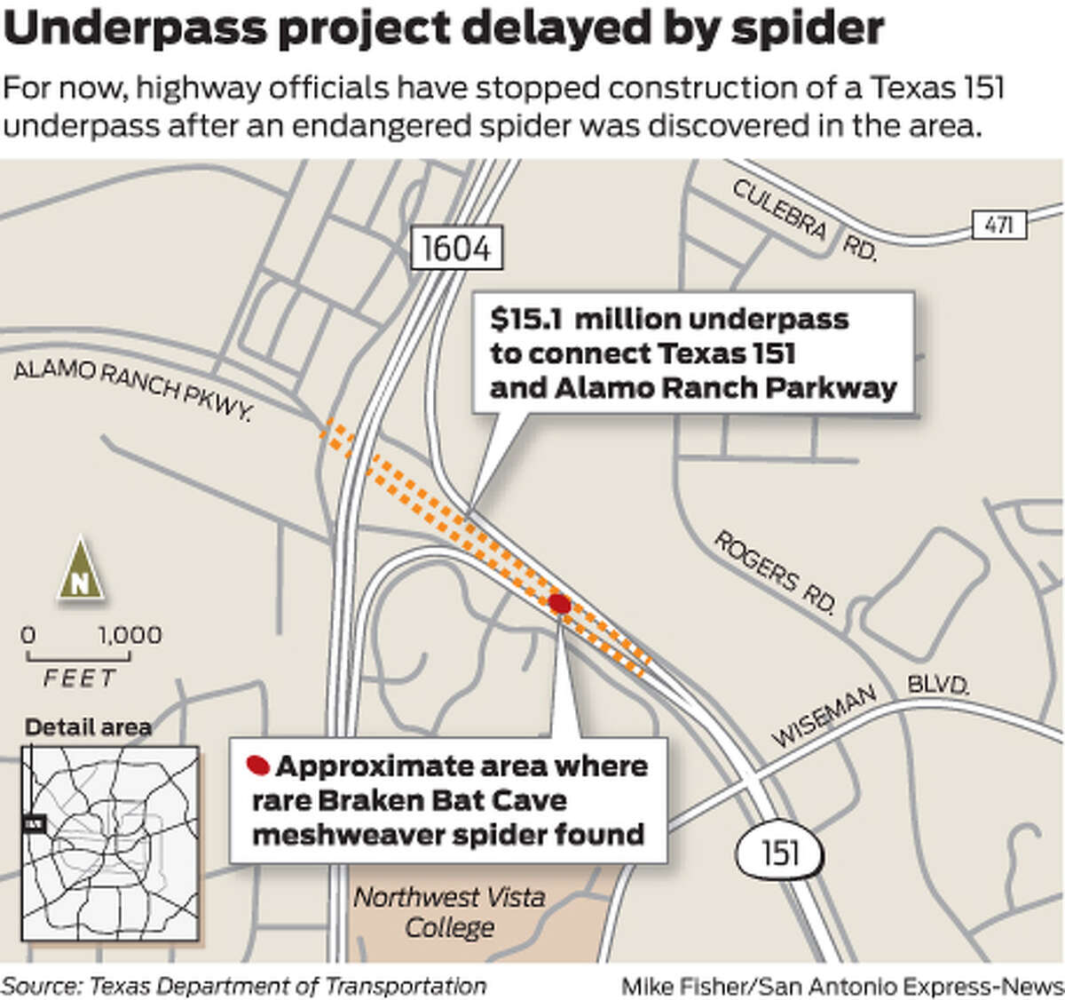 Tiny spider is a big roadblock