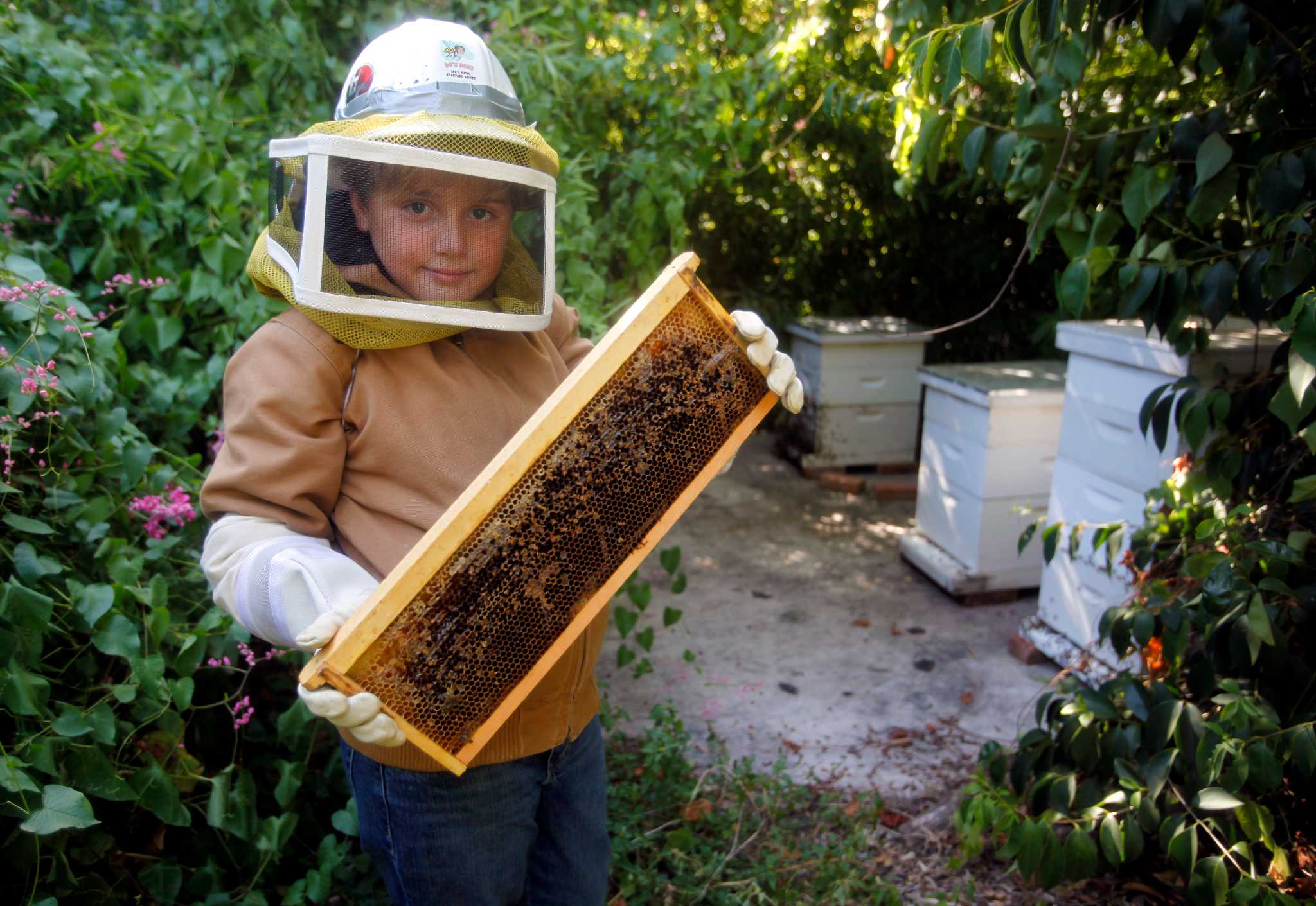 9-year-old's honey secret ingredient in Deep Eddy's vodka