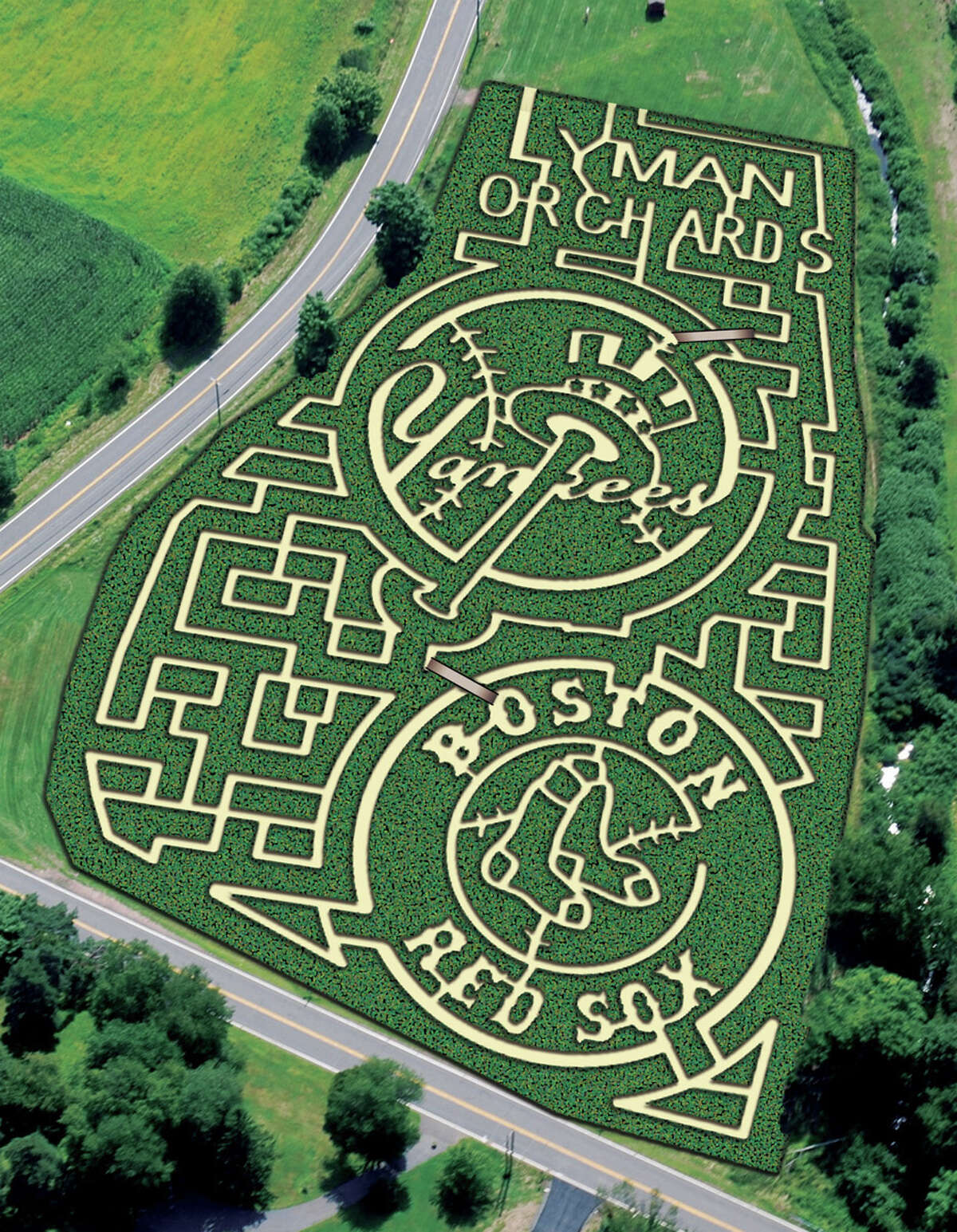 Through Nov. 4, Lyman Orchards' corn maze is open to explore in Middlefield. Find out more.