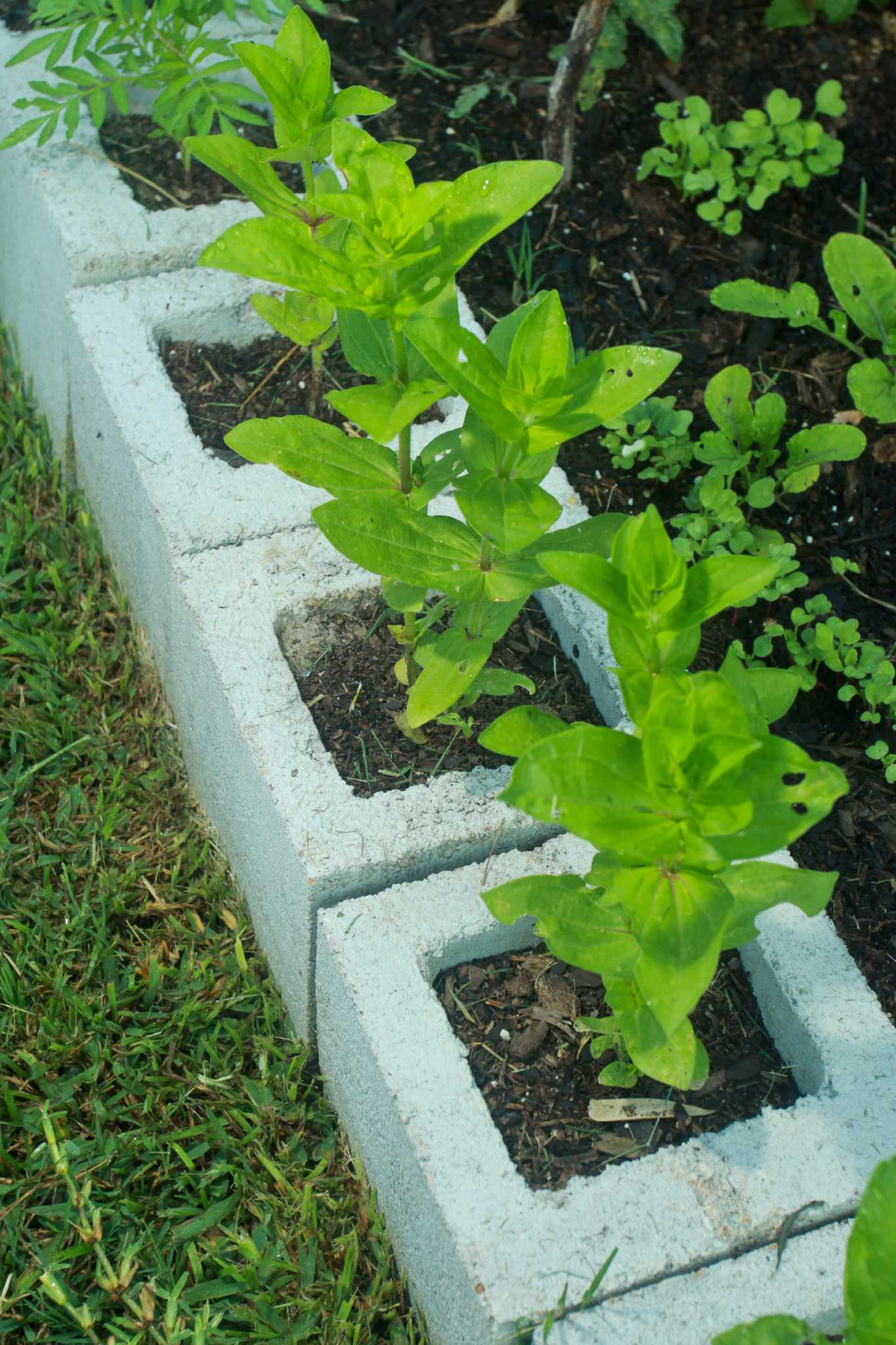 Sprinkle spices on your food for health benefits