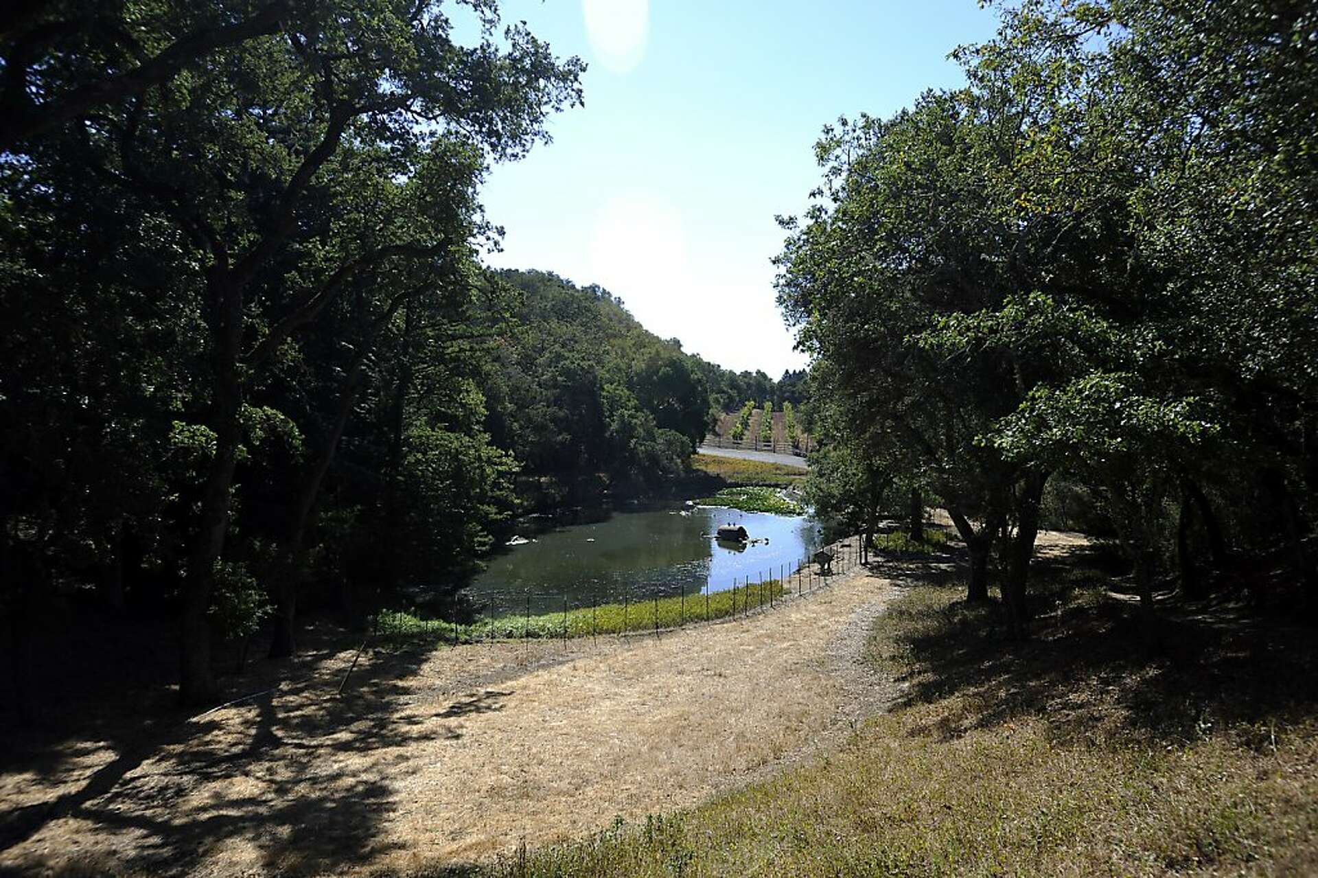Flood, Gillespie Woodside estates for sale
