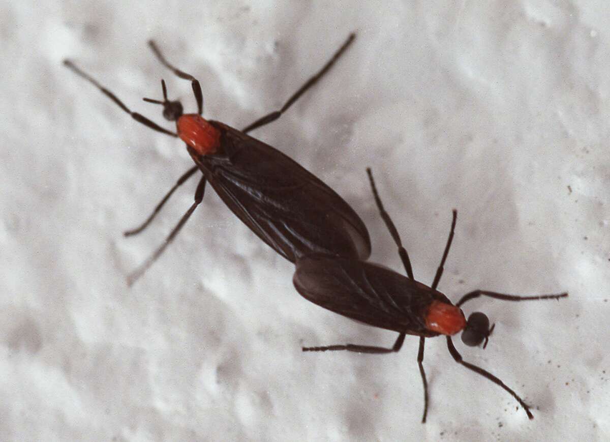 It's obvious fall is finally here