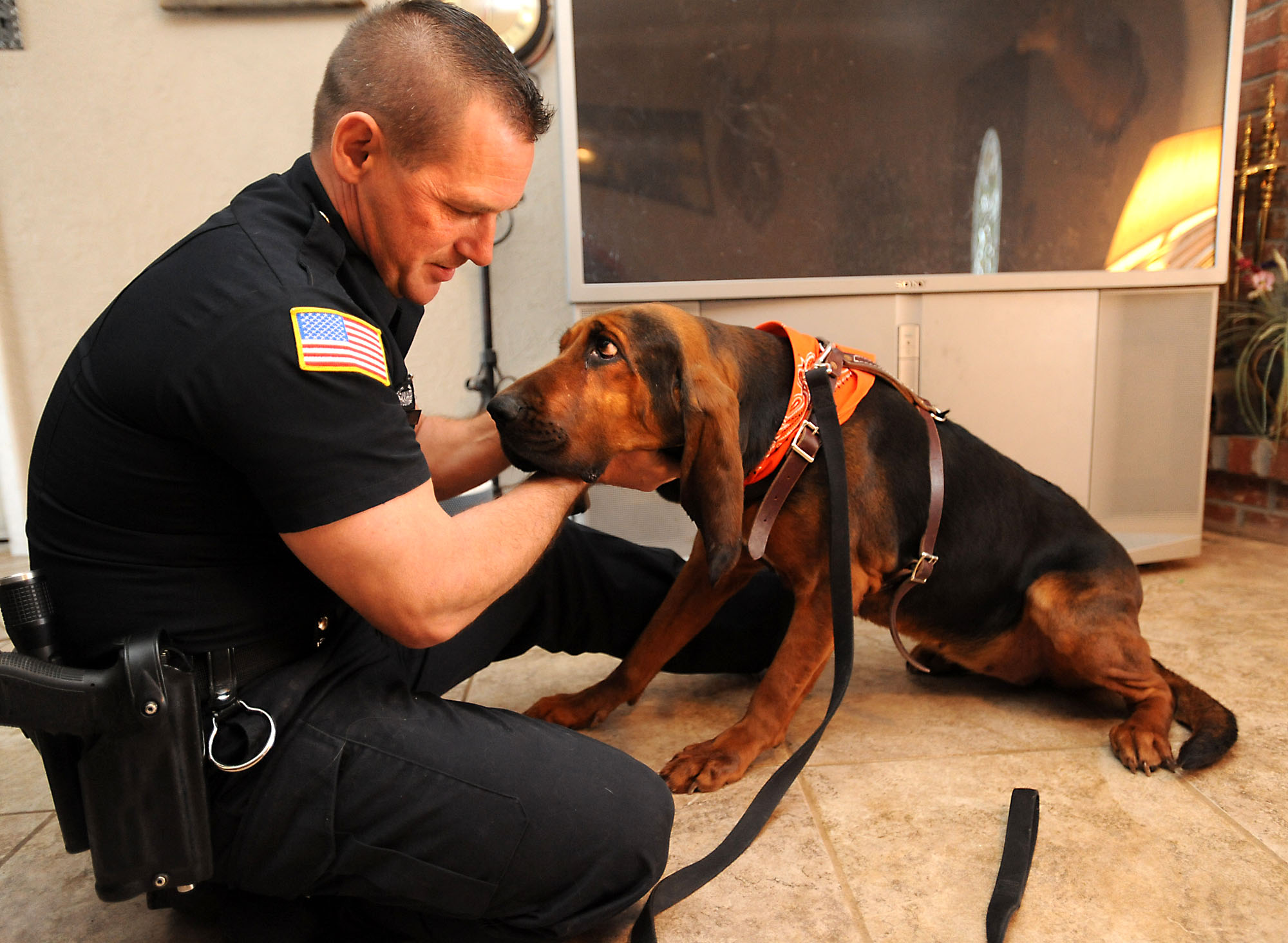 Do police dogs every accidentally snort drugs?