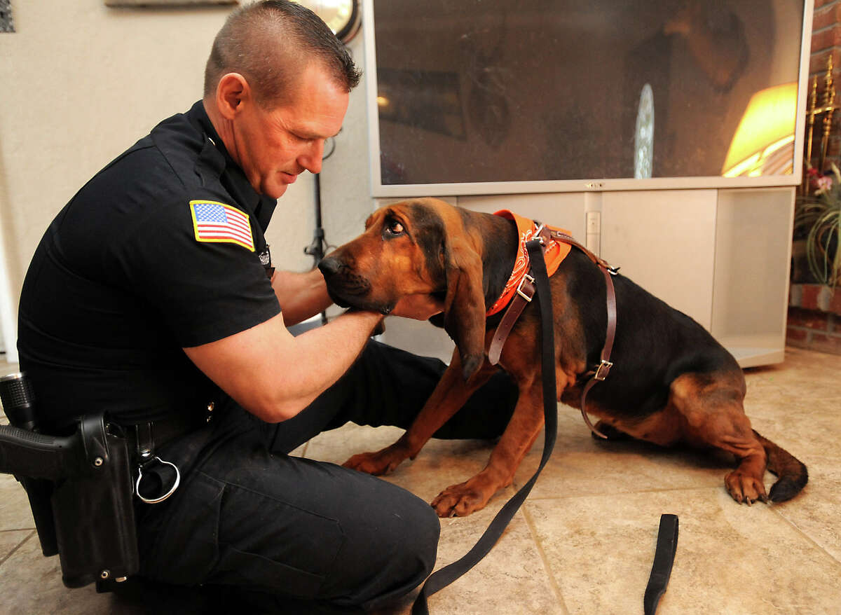 do police officers take their dogs home