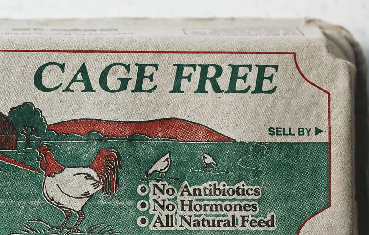 6 Common Food Labels And What They Mean