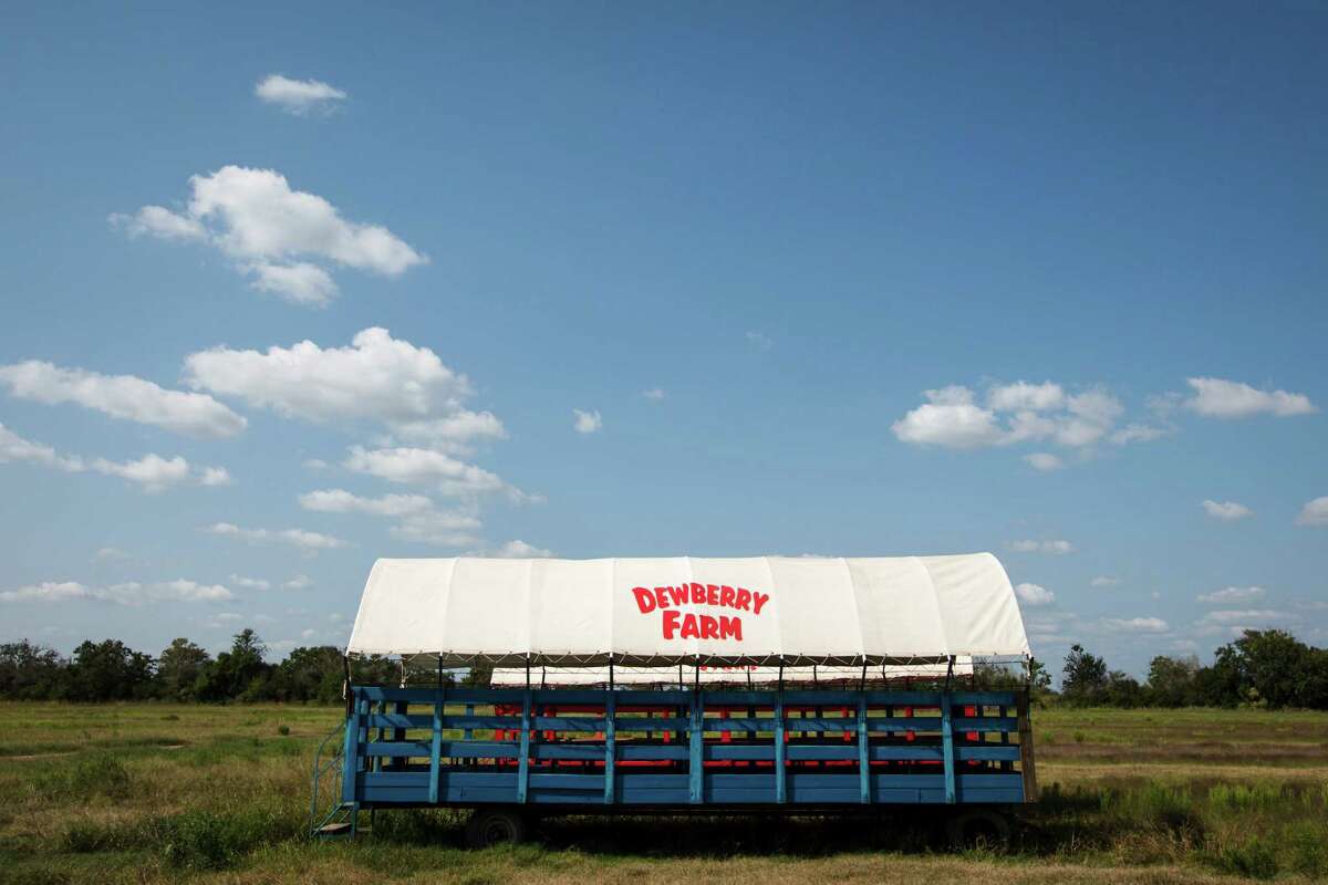 Dewberry Farm Family fun is seasonal business