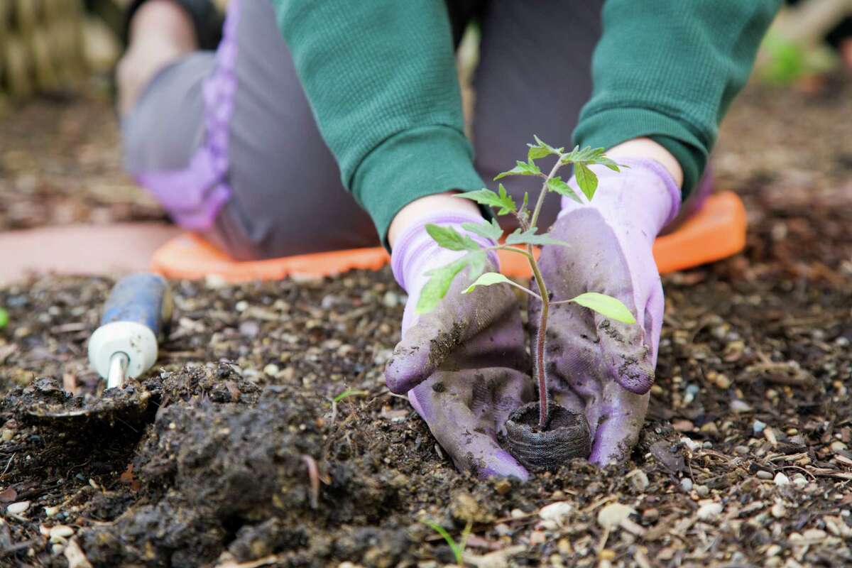 Houston needs curbside composting. Here's what you can do.