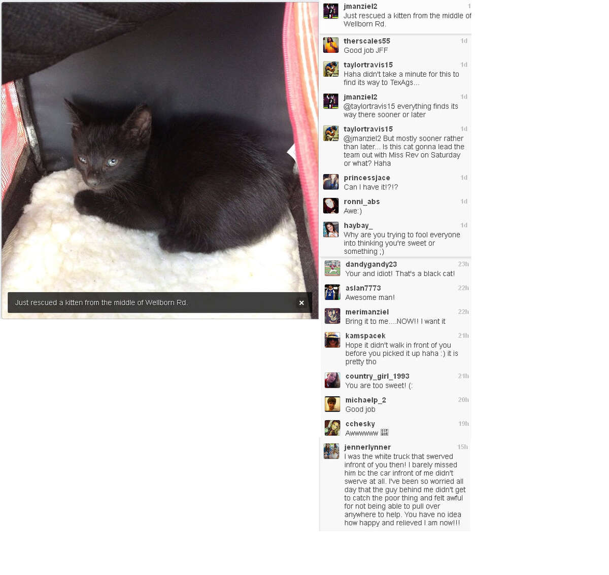 Johnny Manziel's instagram photo of a kitten he rescued.