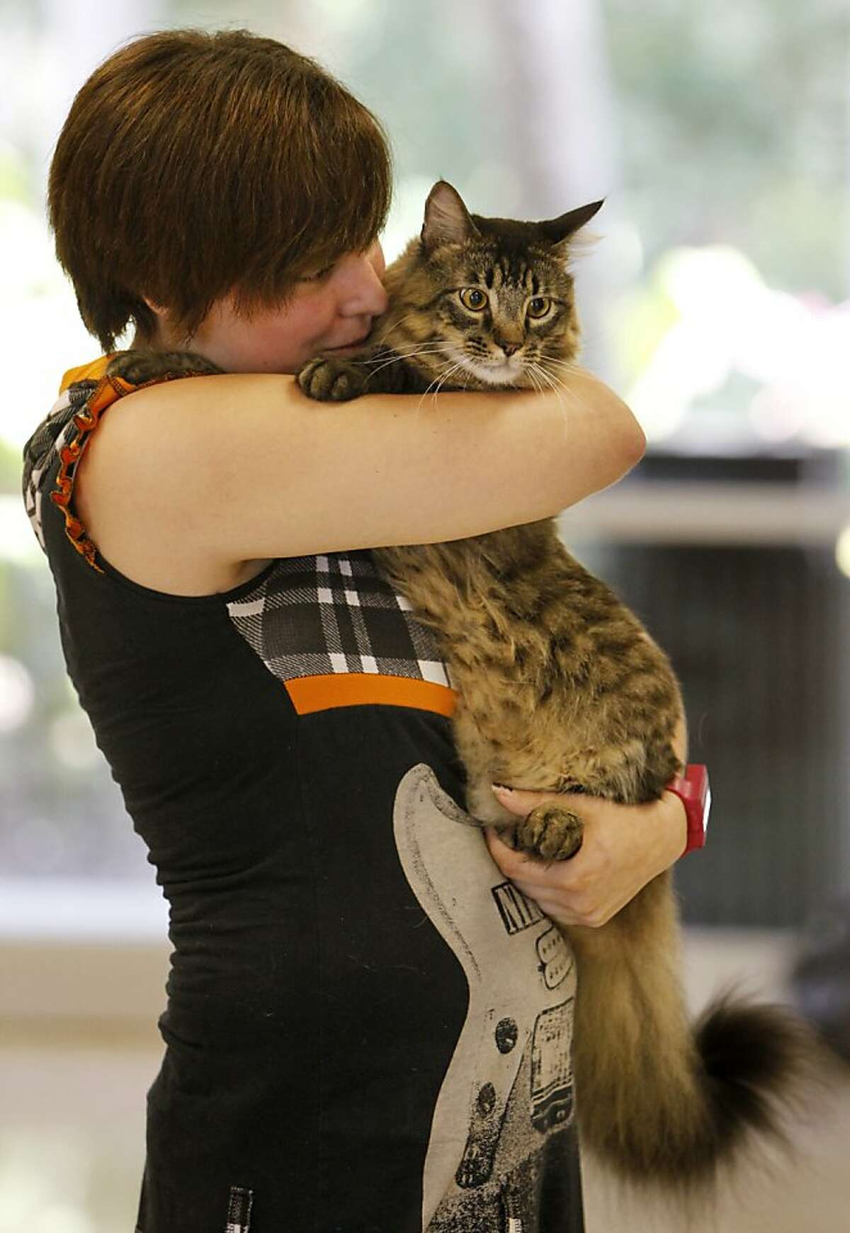 Big cat on campus: Junior Dana Schletter hugs Totoro after the Maine Coon got a clean bill of health at the Eckerd College pet Health Check in St. Petersburg, Fla. Eckerd allows students to have pets if they are registered and pass a health screening.